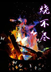 烧不尽(1v1)作者utopia