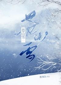 苍山负雪明烛天南什么意思