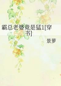 霸总宠妻经典