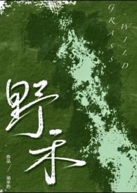 伪兄妹短文