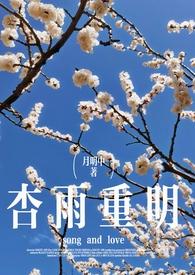 杏雨梨花意思