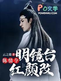 陈情令明场面台词