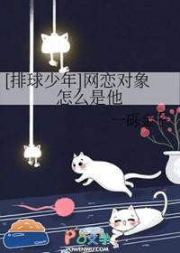 排球少年男主cp
