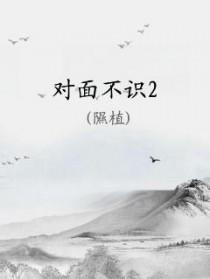 对面不相见的下一句是什么