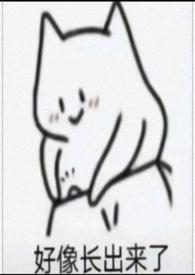 我被他们玩