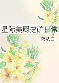 星际美厨娘免费