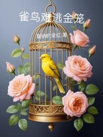 雀鸟难逃金笼by悟空