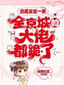 灾星简解包
