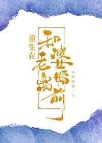 重生在和离之前