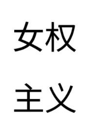 女权主义视角