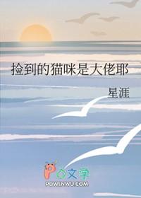 捡到的猫寓意什么