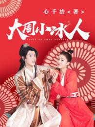 大周小冰人第三部观看