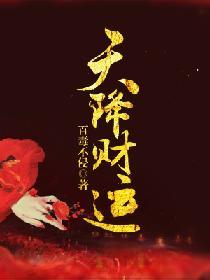 天降财运陆原免费阅读
