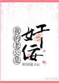 我的老公是奸佞好看吗