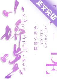 他的小甜心免费阅读
