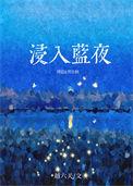 浸入蓝夜越六关免费