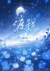 渡我全文免费