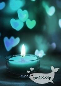 重生八零俏媳妇儿