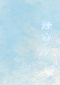 迷宫cp