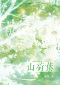山荷叶高清图片
