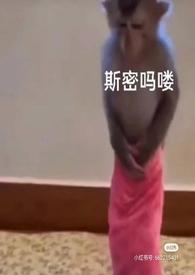 泡芙小姐动画原型