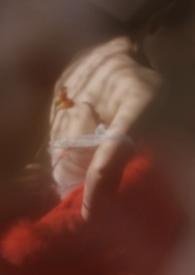 狐狸479