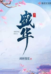 盛华TXT