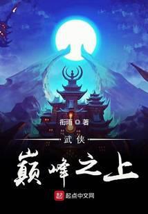 武侠之巅峰之上