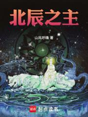 北辰之主笔趣阁