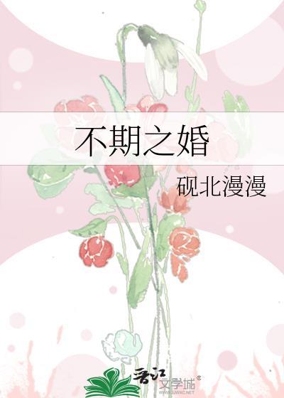 不期之婚txt