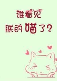 谁看见朕的喵了txt