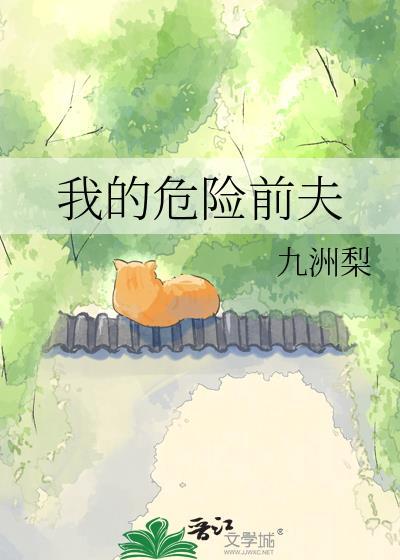 我的危险前夫百度