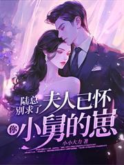 贺律师又沦陷了最新更新章节免费阅读
