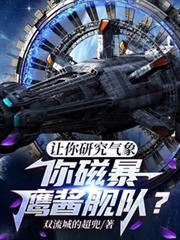 让你研究气象你磁暴鹰酱舰队