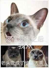 死而复生之后我从老头变成了绝世大美人剧情