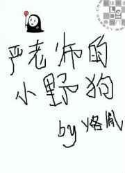 严老师的小野狗全文免费阅读