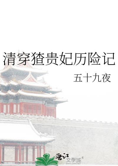 清穿之贵妃传奇