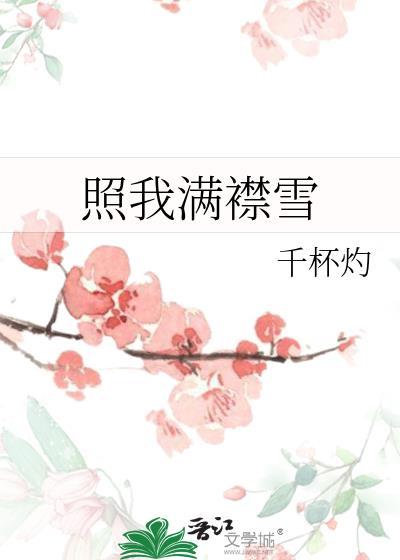 照我满襟雪by