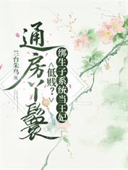 通房丫鬟变主母的