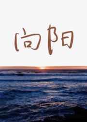 向阳而生手抄报