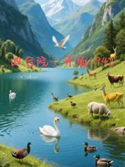四合院开局1942阅读_作者云水在天npc_左边中文