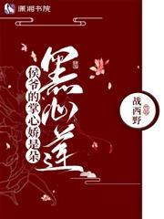 贵妃身边的宫女等级