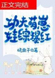 功夫萌崽