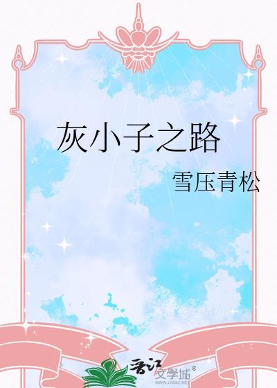 灰小子之路txt