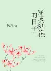 穿成班花的日子晋江