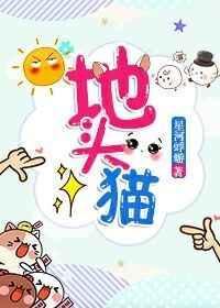 地头猫txt