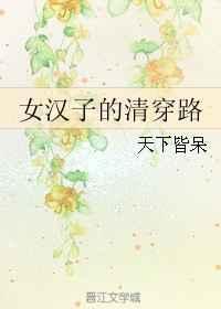 女汉子的清穿路作者天下皆呆