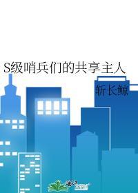 哨兵等级划分