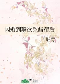 闪嫁禁欲帝少