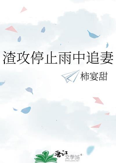 渣攻追妻文推荐